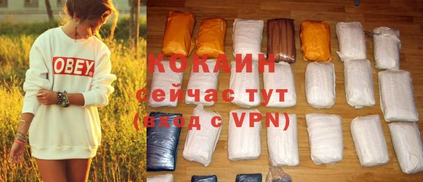 бошки Новозыбков