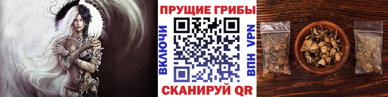 Псилоцибиновые грибы MAGIC MUSHROOMS Заполярный